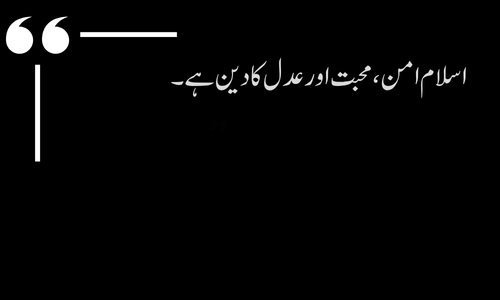 Islamic Quote - Aakhirat ki tayari behtar sarmayakari hai