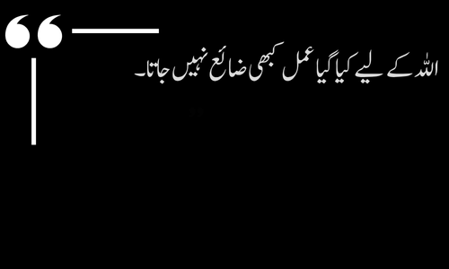 Islamic Quote - Neki karo aur Allah par bharosa rakho
