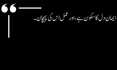 Islamic Quote - Allah raheem hai