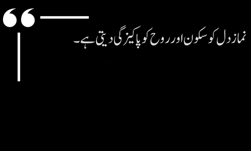 Islamic Quote - Sabr insaan ko jannat tak le jata hai