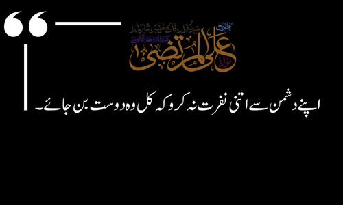 Hazrat Ali Quote - Sabr bari ne’mat hai