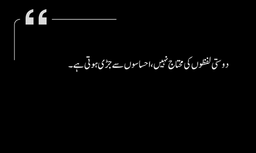 Friendship Poetry - Sache dost zindagi ki sabse badi daulat hote hain